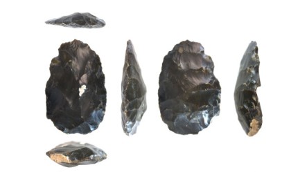 Find recorded at Durleigh Marsh, Hampshire