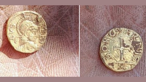 Find recorded at Upton Grey, Hampshire