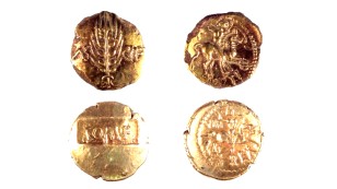 Iron Age find recorded at Kings Somourne, Hampshire